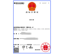 ISO體系產(chǎn)品庫(kù) 構(gòu)建知識(shí)產(chǎn)權(quán)服務(wù)新生態(tài)